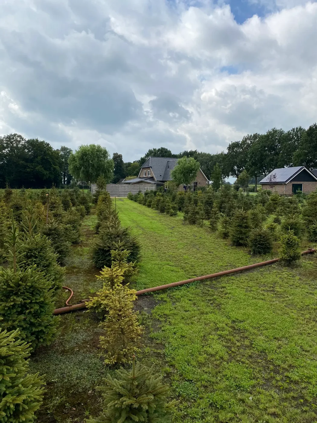 Een kijkje op het terrein